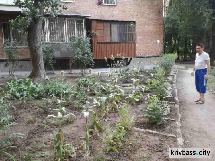 "100 дворов": в Кривом Роге появился новый уютный двор (ФОТО)