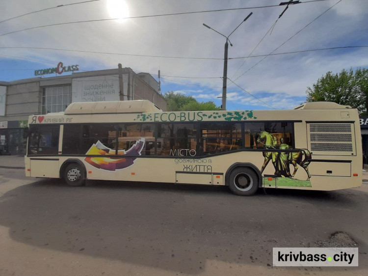 Графік руху автобусів №№1 та 1а у Кривому Розі: як їздить комунальний транспорт