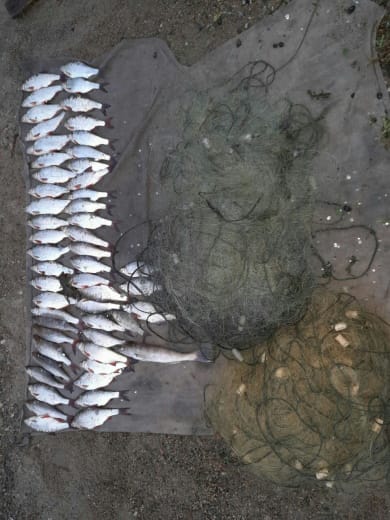 Фото Дніпропетровського рибоохоронного патруля