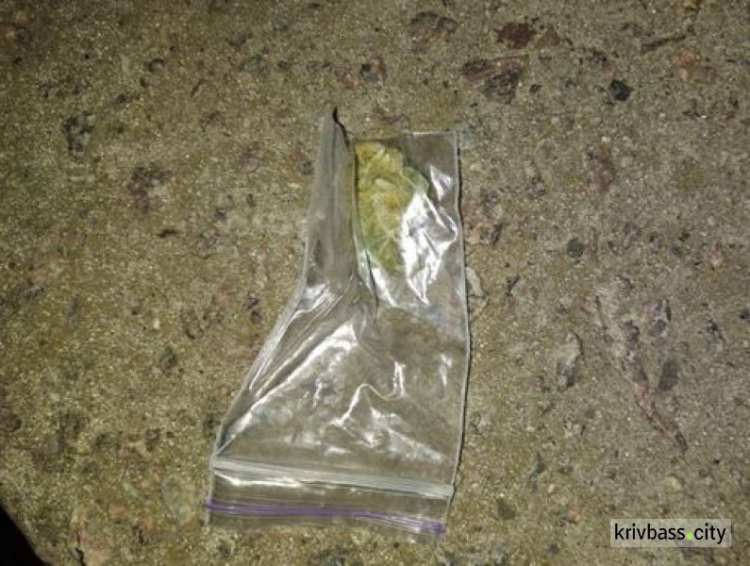 Жители Кривого Рога употребляли наркотики прямо на территории школы (ФОТО)