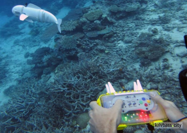 Рыба-робот будет шпионить за морскими животными (ФОТО+ВИДЕО)