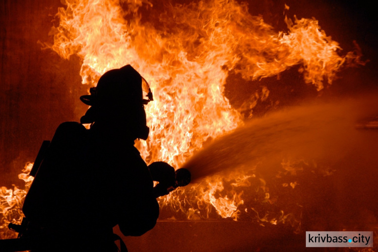 Пожары в Кривом Роге: горели гараж и заброшенное здание, никто из людей не пострадал