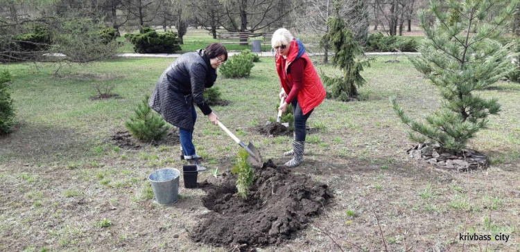 У ботанічному саду криворіжці проводять акцію «Посади 1 000 000 дерев!»