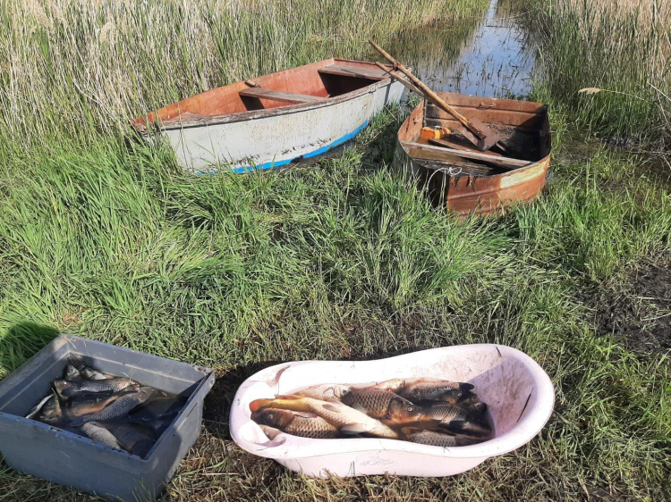 У Криворізькому районі поліція затримала чоловіка за незаконний вилов близько 50 кг риби: подробиці