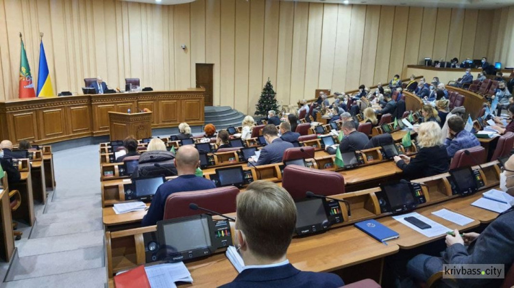 Криворізькі депутати погодили петицію щодо фіндопомоги хворому Максиму Акушевичу