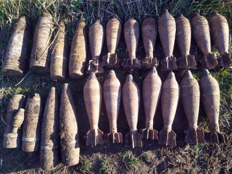 В Криворожском районе члены историко-поисковой группы обнаружили 26 боеприпасов (фото)
