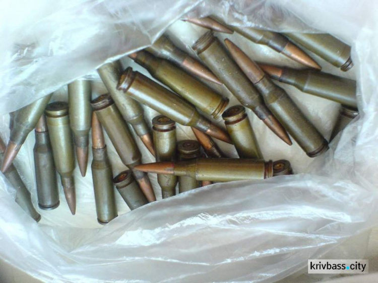 В Кривом Роге правоохранители за день изъяли почти 200 патронов (ФОТО)