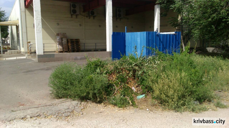 Нарушителей чистоты в Кривом Роге штрафуют на 1 тысячу гривен (ФОТО)