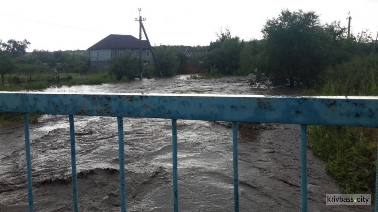 Под Кривым Рогом затопленным оказался поселок (фото)