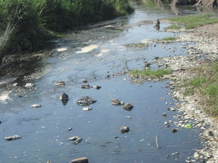Белый налет и непонятные грязные пятна: в Кривом Роге проверили качество воды в водоемах