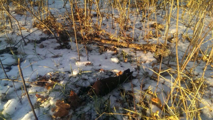 Под Кривым Рогом нашли и обезвредили минометную мину (фото)