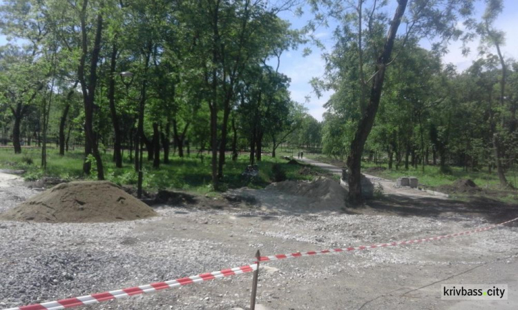 Альтанки, прореженные деревья, конопля: в Гданцевском парке Кривого Рога День открытых дверей
