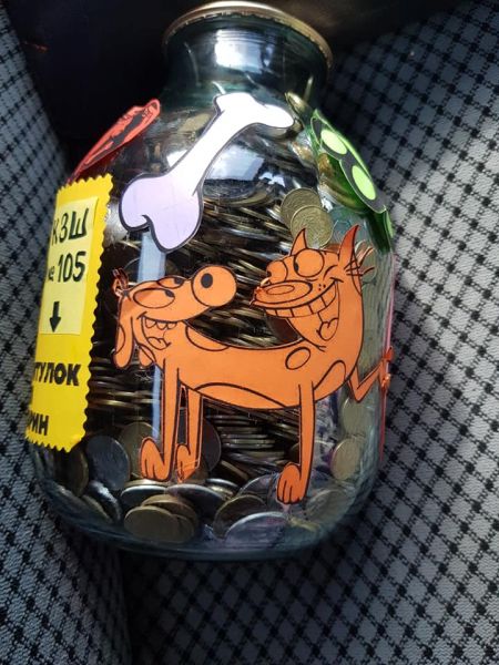 Бутыль добра: в Кривом Роге дети по копейке собирают деньги на  помощь бездомным животным (фото)
