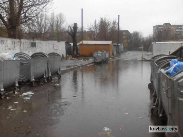 Коммунальный беспредел: жители "Муравейника" в Кривом Роге вплавь добираются к мусорным бакам (ФОТОФАКТ)