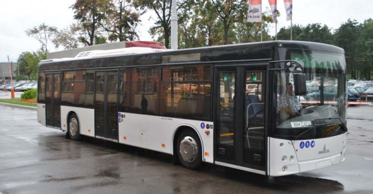 На сессию горсовета в Кривом Роге вынесут вопрос о покупке десяти белорусских автобусов