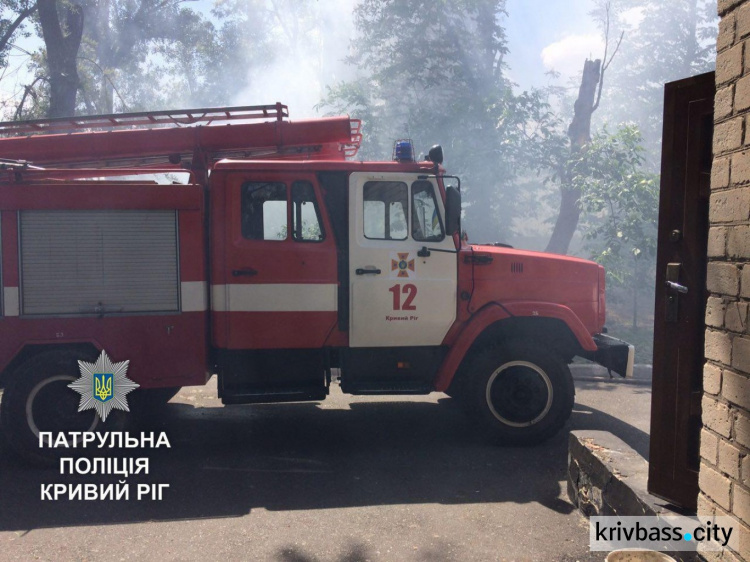 Спасатели Кривого Рога борются с возгоранием лесополосы (ФОТО)
