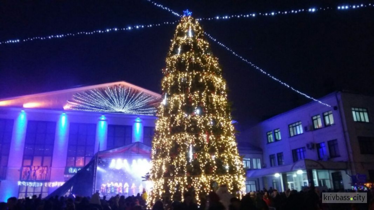 В Покровском районе Кривого Рога праздничными огнями зажглась новогодняя елка (фоторепортаж)