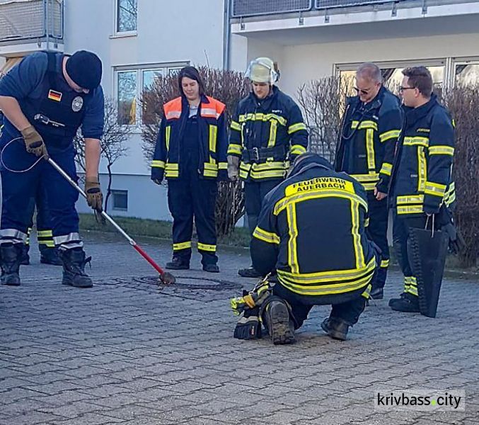 В Германии бригада пожарных спасла толстую крысу (ФОТО+ВИДЕО)