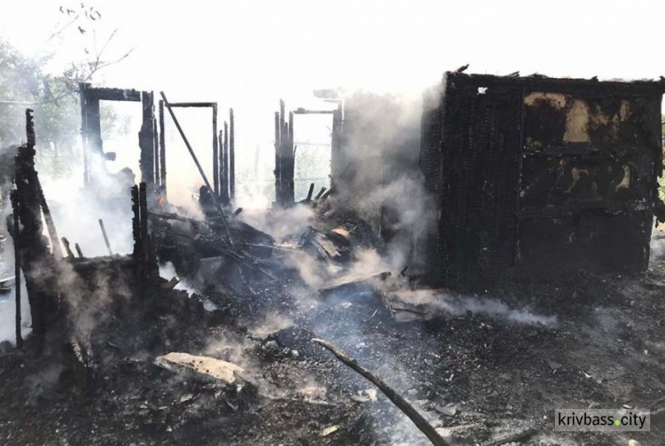 В Кривом Роге пожар уничтожил хозяйственную постройку