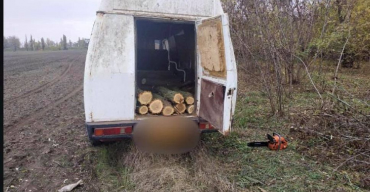 В Криворожском районе задержали дровосека, который срубил почти три десятка акаций