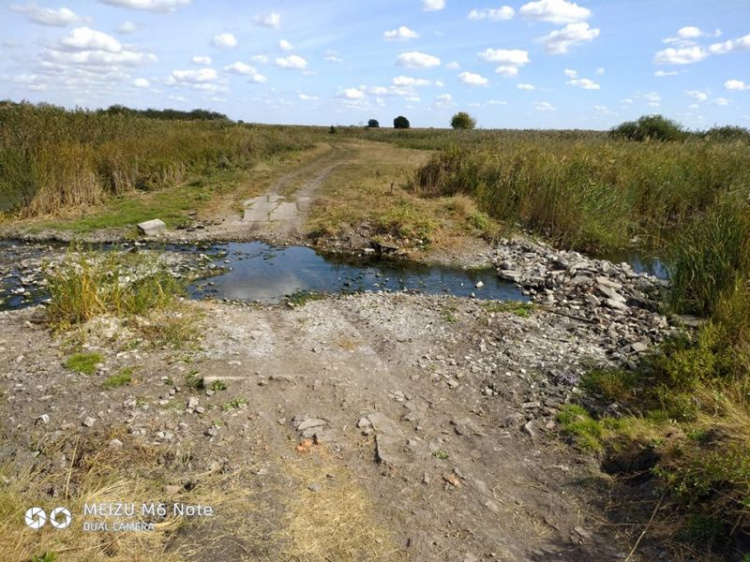 Самая чистая река Днепропетровщины превращается в болото, - соцсети (фото)