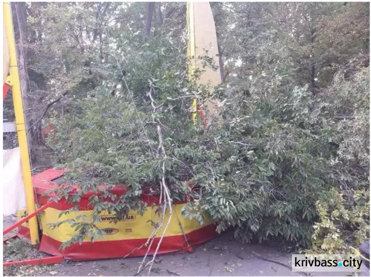 В центральном парке Кривого Рога на детскую площадку рухнуло дерево (ФОТО)