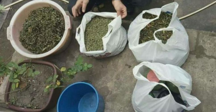 Под Кривым Рогом полиция обнаружила целый склад наркотиков на полмиллиона гривен (ФОТО)
