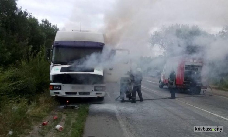 Происшествие на дороге: под Кривым Рогом загорелась фура (ФОТО)
