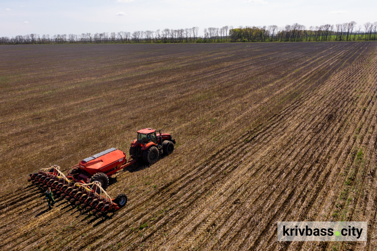 Посівна на Дніпропетровщині: засіяли майже 35% гороху, пшениці, ячменю та кукурудзи
