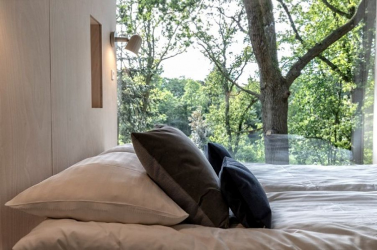 В Дании открыли первый отельный номер на дереве (ФОТО)