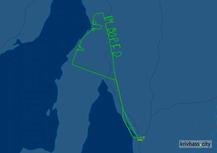 Пилот самолета "нарисовал" на радаре половой орган (ФОТО)