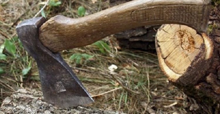 Жители Кривого Рога могут контролировать вырубку деревьев онлайн