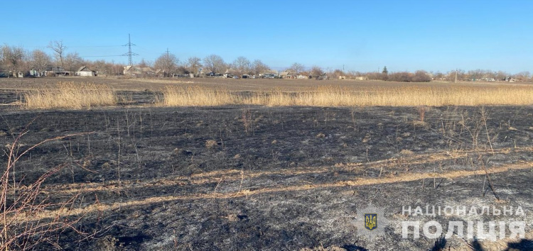 П'ять років буцегарні загрожує жителю Дніпропетровщини за спалену траву