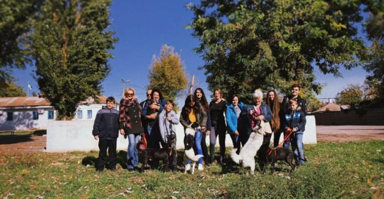 Активисты приглашают криворожан присоединяться к выгулу бездомных собак