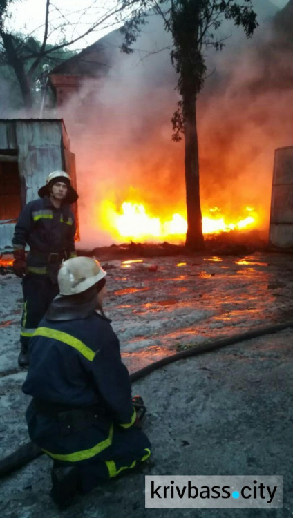 В Кривом Роге на СТО горели покрышки и крыша (ФОТО)