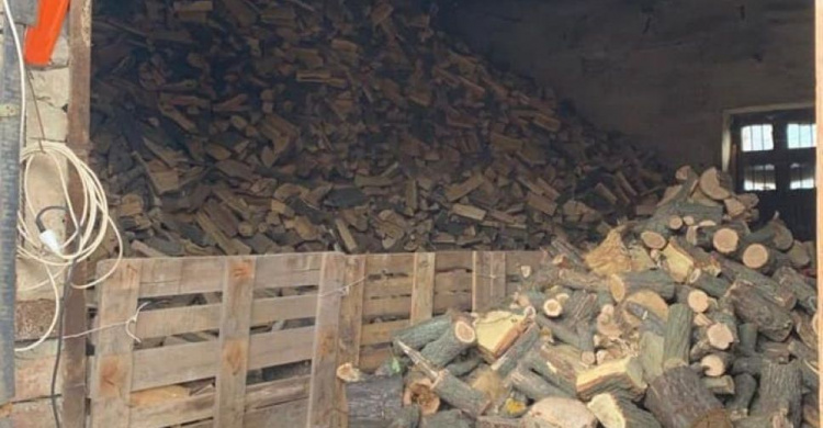 На одном из предприятий Кривого Рога нашли склад с незаконно срубленной древесиной