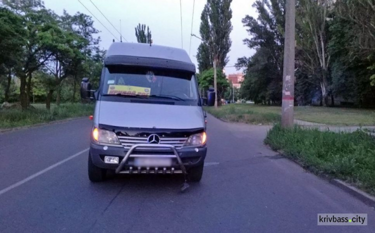 Авария в Кривом Роге: микроавтобус наехал на школьницу (ФОТО)