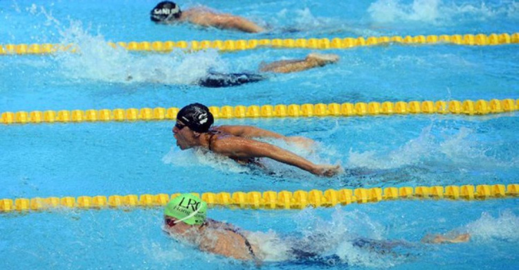 Криворожские спортсмены отличились на состязаниях по плаванию среди ветеранов