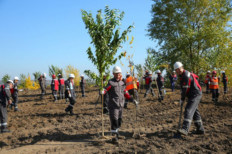 Тысяча новых деревьев: Ингулецкий ГОК в Кривом Роге выполняет рекультивацию отвала