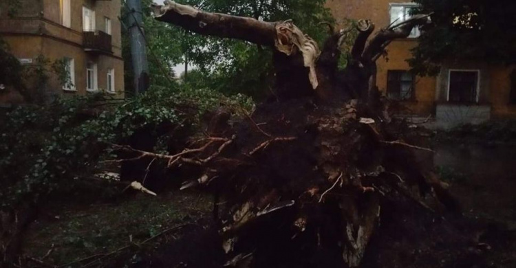 Последствия стихии в Кривом Роге: повреждены крыши в школах, детских садах и больницах