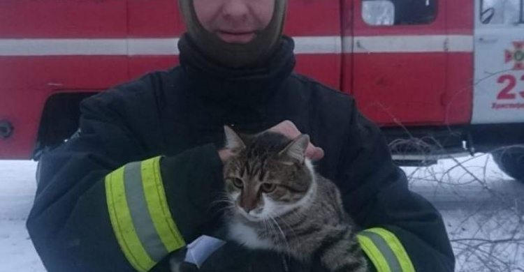 Пожарными в Криворожском районе была проведена спасательная операция (фото)