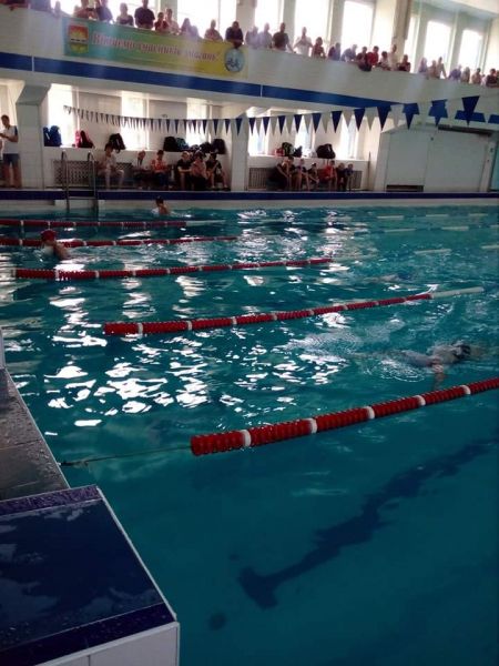 Лучшие результаты: в Кривом Роге прошёл чемпионат города по плаванию (фото)
