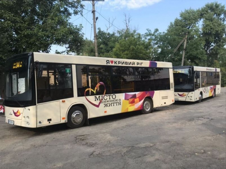 На 244-й маршрут выехали три новых комфортабельных автобуса