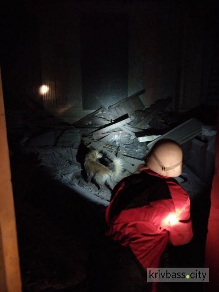 В Кривом Роге обвалилась крыша в бывшем ДК "Коксохимиков" - есть пострадавший (фото) + (видео) + (обновлено)