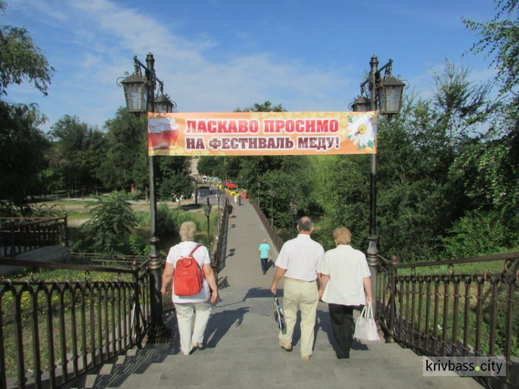 20 тонн меда со всей Украины: в Кривом Роге стартовал 9-й Медовый фестиваль (фото)