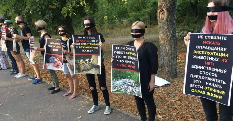 В Кривом Роге зоозащитники провели акцию против эксплуатации зверей (ФОТО)