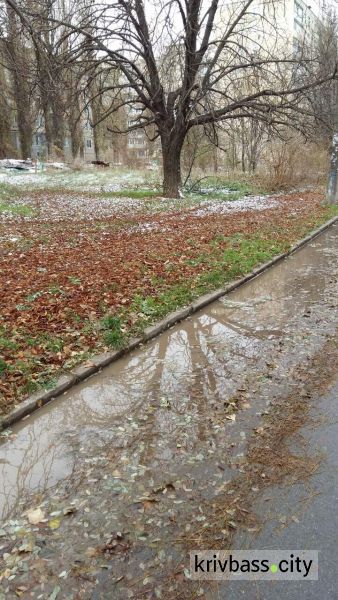 Жители Кривого Рога жалуются, что вода уже месяц затапливает их погреба (фотофакт)
