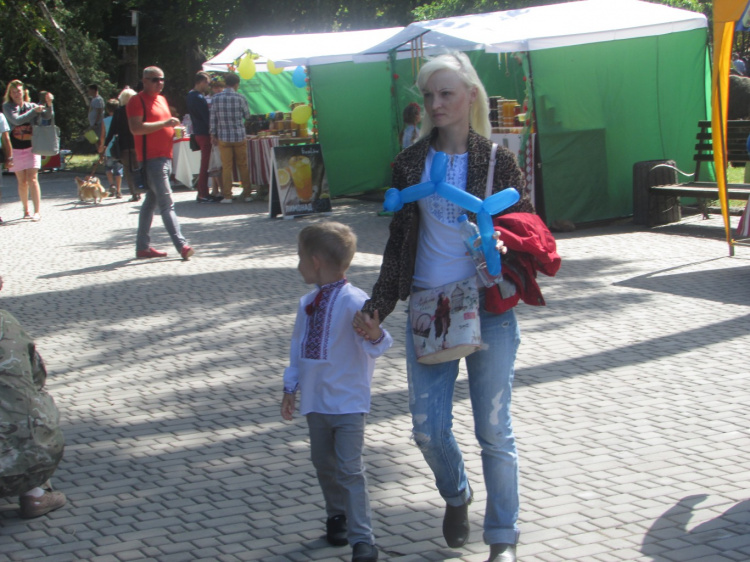 ФОТОФАКТ: "С Украиной в сердце" отметили День Независимости в Центрально-Городском районе Кривого Рога
