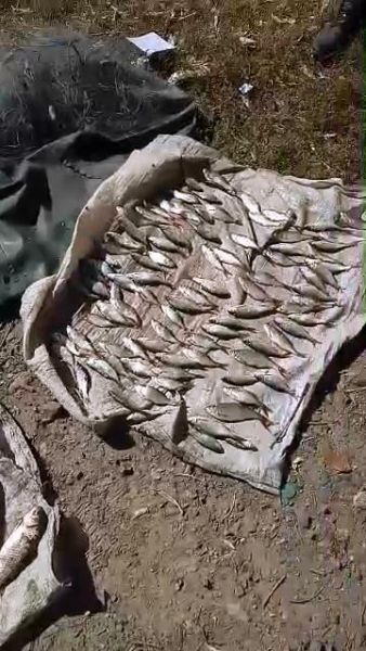 Житель Кривого Рога незаконно ловил рыбу и нанес ущерб государству в 7 тысяч гривен