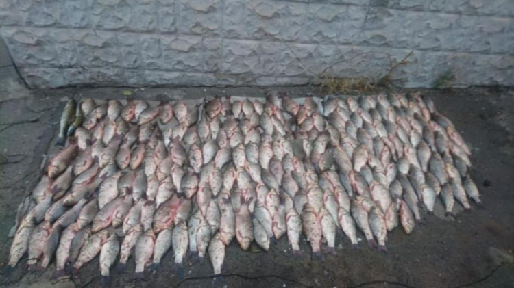 В Кривом Роге два рыбака попались на незаконном вылове рыбы